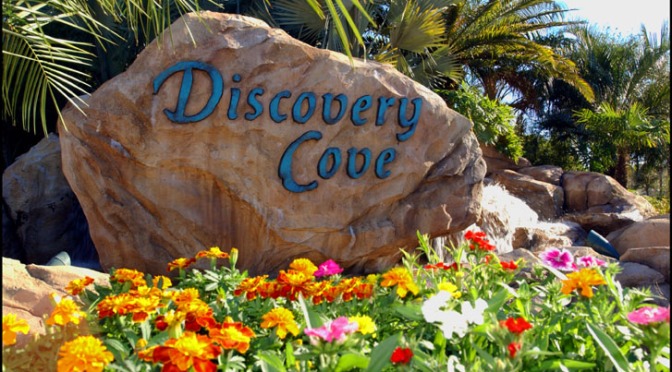 Discover Amazing at Discovery Cove