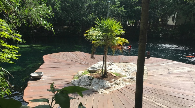 Resort Review: Sandos Caracol Eco Resort